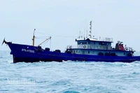 Bộ Tư lệnh Vùng Cảnh sát biển 4 phát hiện, kiểm tra, bắt giữ 3 tàu cá có hành vi vận chuyển trái phép 186 nghìn lít dầu D.O trong đợt cao điểm.