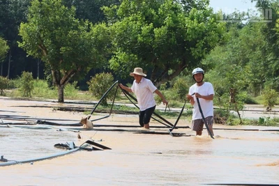 Người dân khắc phục thiên tai.