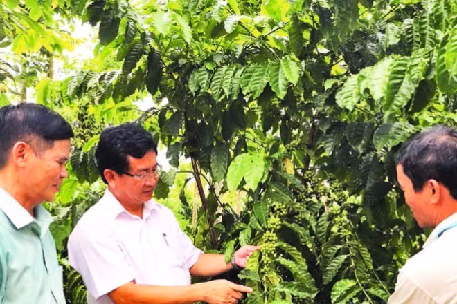 Lãnh đạo xã Phú Vinh (tỉnh Đồng Nai) sâu sát gắn bó với nông dân, tích cực đưa nghị quyết vào sản xuất nông nghiệp, xây dựng nông thôn mới.