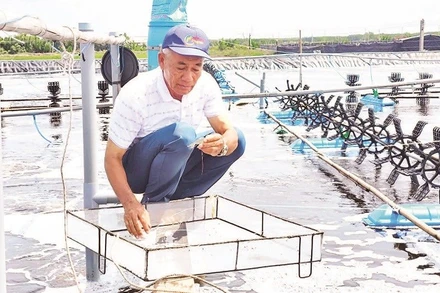 Ông Lê Văn Sấm bên ao nuôi tôm ứng dụng công nghệ cao