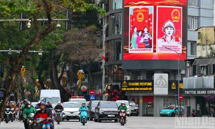 (Ảnh: THẾ ĐẠI)