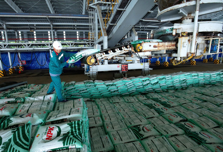 Sản phẩm NPK Cà Mau tiên phong về chất lượng, mang đến cho bà con những mùa vàng thắng lớn. dam-cm-1.jpg