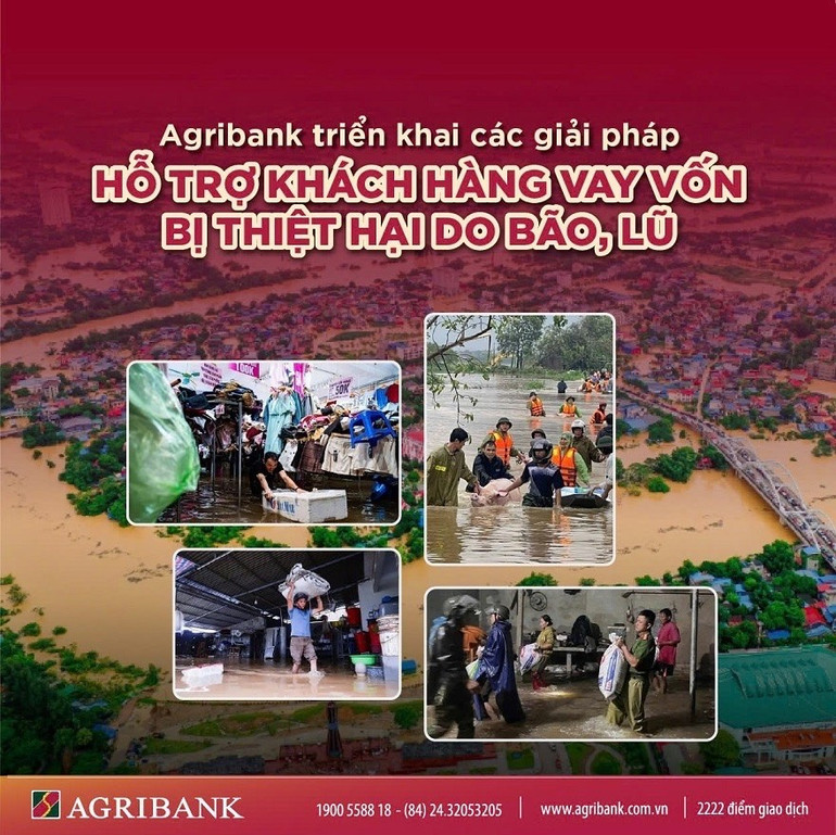 Agribank triển khai các giải pháp hỗ trợ khách hàng vay vốn bị thiệt hại do bão lũ 1j78cp3ts-6u5td4.jpg