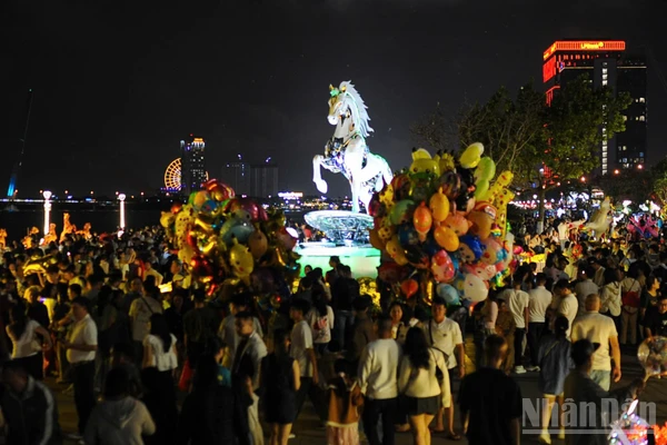 Đường hoa Bạch Đằng thành phố Đà Nẵng đêm 16/2 (29 Tết).