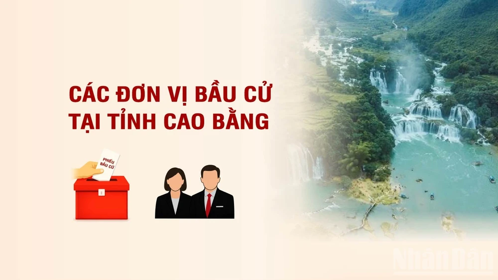 [Infographic] Các đơn vị bầu cử đại biểu Quốc hội tại tỉnh Cao Bằng