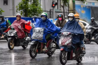 (Ảnh minh họa: THÀNH ĐẠT)