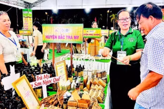 Giới thiệu các sản phẩm quế tiêu chuẩn OCOP của Hợp tác xã Quế Trà My Minh Phúc.