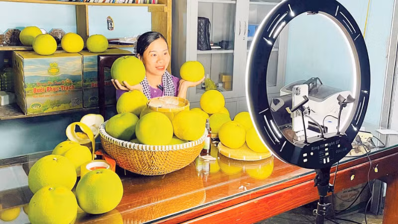 Các hợp tác xã đẩy mạnh quảng bá bưởi Phúc Trạch, livestream bán hàng trên các nền tảng mạng xã hội