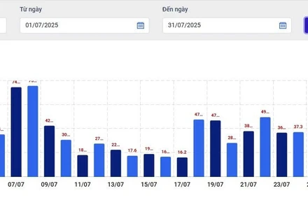 Lượng điện tiêu thụ các ngày trong tháng 7 của khách hàng phản ánh “giống hệt nhau” giữa tháng 7 và tháng 8.