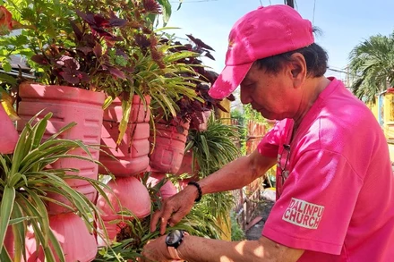 Mỗi ngày, từ 3 giờ sáng ông Phan Văn Chánh đã bắt đầu việc tưới nước, chăm sóc cho cả dãy cây xanh của mình (Ảnh: Thùy Dương)