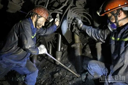 Tháng 7 vừa qua, TKV sản xuất hơn 3,24 triệu tấn than sạch, bằng 100% kế hoạch tháng; lũy kế 7 tháng đầu năm hơn 24 triệu tấn, bằng 103,4% so với cùng kỳ.