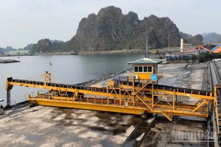 Tập đoàn Công nghiệp Than-Khoáng sản Việt Nam (TKV) yêu cầu các đơn vị, công ty khai thác than thành viên trên địa bàn tỉnh Quảng Ninh triển khai các biện pháp khẩn cấp ứng phó bão số 3 (Wipha).