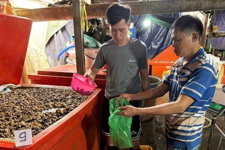 Cơ sở các đối tượng ngâm ốc bằng hóa chất để đưa ra thị trường tiêu thụ. (Ảnh: Công an cung cấp)