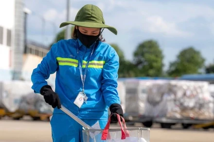 Nhân viên Đội môi trường khu bay thu gom vật ngoại lai.