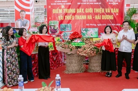 Các đại biểu thực hiện nghi thức cắt băng khai trương, mở bán sản phẩm vải thiều Thanh Hà tại hệ thống GO!.