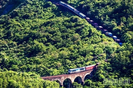 Tổng công ty Đường sắt Việt Nam triển khai hoạt động vận chuyển miễn phí hàng hóa cứu trợ gửi đến đồng bào vùng bị ảnh hưởng.