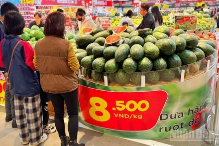 Tập đoàn Central Retail Việt Nam đang triển khai chương trình “Đồng hành tiêu thụ dưa hấu Gia Lai”; bán dưa hấu ruột đỏ không lợi nhuận với mức 7.500-8.500 đồng/kg tại siêu thị GO!, Tops Market, dự kiến tiêu thụ khoảng 200 tấn.