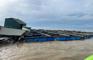 Bè nuôi thủy sản trôi ra Lạch Ghép.