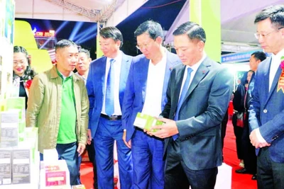 Hội chợ Công thương khu vực phía bắc tỉnh Ninh Bình năm 2025 là dịp để các doanh nghiệp Ninh Bình giới thiệu quảng bá sản phẩm.