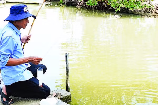 Thả chai nhựa xuống nước, người câu chỉ cần ngồi thong thả quan sát. Khi thấy dây cước căng hoặc chai rung bần bật là biết cá đã vào bẫy.