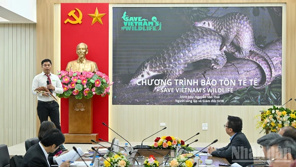 Đại diện dự án thuyết trình tại Vòng Chung kết Giải thưởng Hành động vì Cộng đồng - Human Act Prize 2025. (Ảnh: THỦY NGUYÊN)