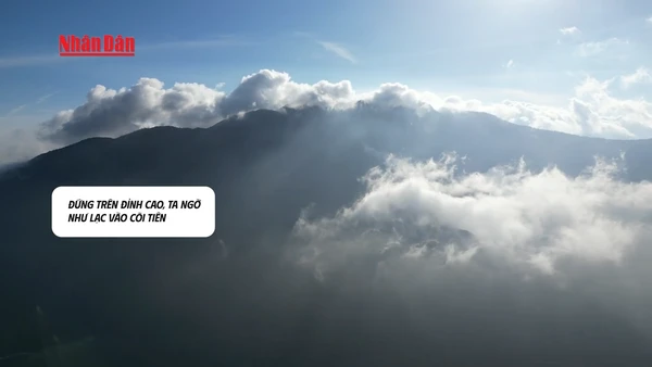 [Video] Lạc giữa chốn bồng lai ở đỉnh Hải Vân ngày đêm mây phủ