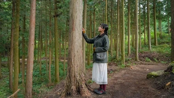 Tận hưởng không gian thư giãn tại rừng Gochang. (Ảnh: QUỸ VĂN HÓA DU LỊCH JEONBUK)