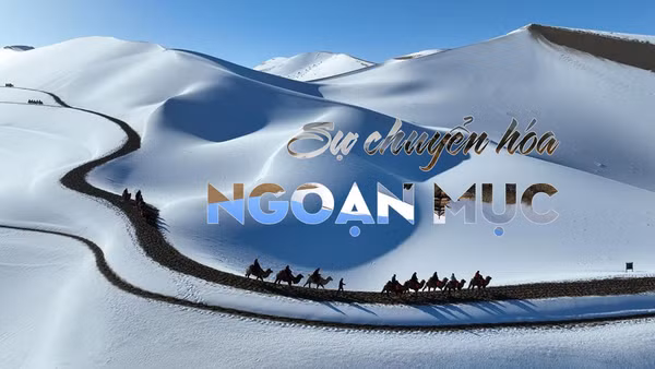 Kỳ 3: Sự chuyển hóa ngoạn mục