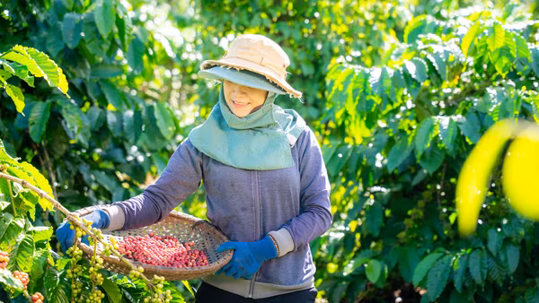 Việt Nam là mắt xích chiến lược trong chuỗi giá trị toàn cầu của Nestlé