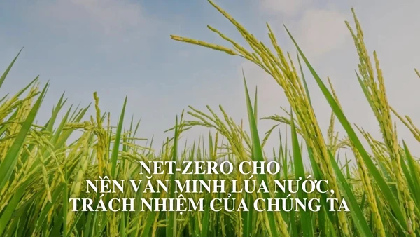 Net Zero cho nền văn minh lúa nước, trách nhiệm của chúng ta
