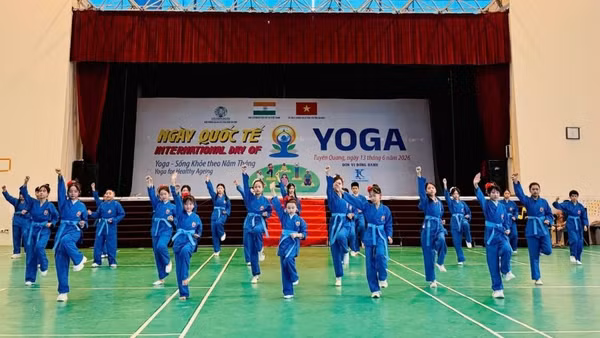 Đồng diễn võ nhạc Vovinam, một trong những hoạt động đáng chú ý tại Festival. 