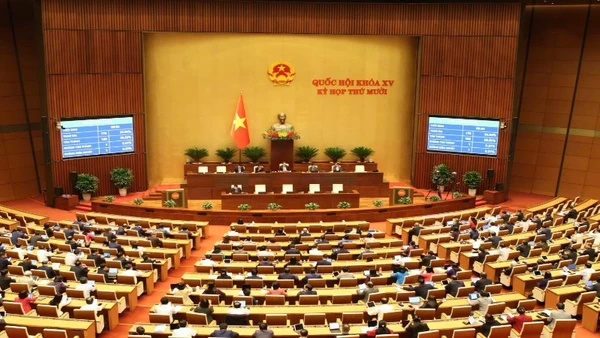 Quốc hội khóa XV biểu quyết thông qua Luật sửa đổi, bổ sung một số điều của Luật Sở hữu trí tuệ.