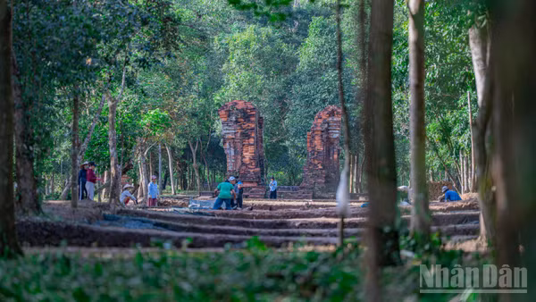 Toàn cảnh khu vực "con đường thiêng" vừa phát lộ tại Thánh địa Mỹ Sơn.