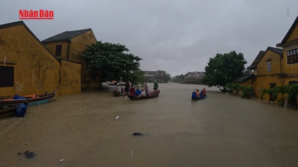 [Video] Du khách ấn tượng trước một Hội An kiên cường "sống chung với lũ"