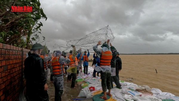 [Video] Đà Nẵng: Nỗ lực hoàn thành gia cố kè An Lương trước giờ bão 13 đổ bộ