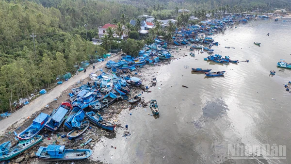 Đến thời điểm này, nhiều chủ tàu phân loại thiệt hại thành 3 nhóm: nhóm hư hại hoàn toàn không thể sửa chữa, nhóm tàu lớn, hư hại nhẹ nhưng đã mắc cạn, chưa có phương án giải quyết và nhóm những tàu có thể sửa chữa, đợi thông tuyến đường để xe cẩu tới vận chuyển đến các cơ sở sửa chữa tàu.