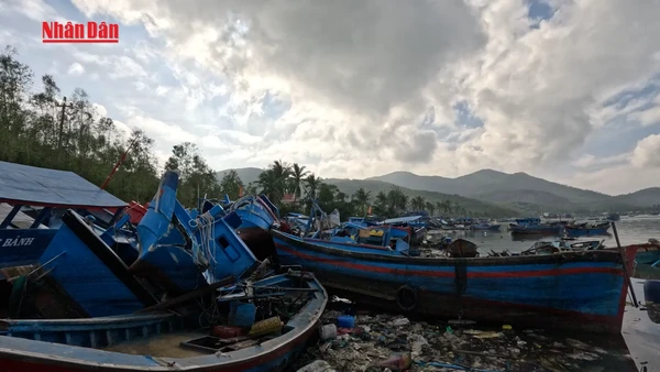 [Video] Người dân Sông Cầu lên kế hoạch vượt qua thiệt hại do bão để ra khơi