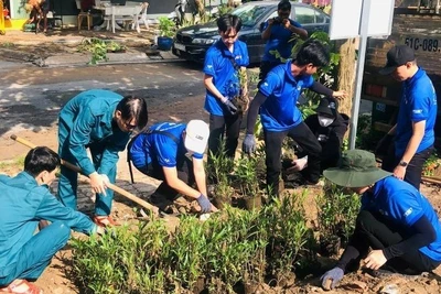 Các tình nguyện viên trồng hoa cải tạo bãi rác thành công viên tại Khu phố 46, phường Tăng Nhơn Phú.