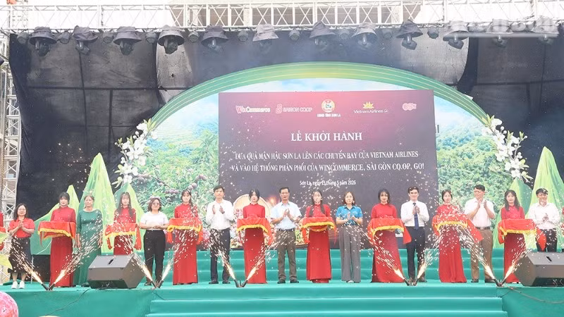 Các đại biểu cắt băng khởi hành đưa mận hậu Sơn La lên các chuyến bay và vào hệ thống phân phối hiện đại trên toàn quốc.