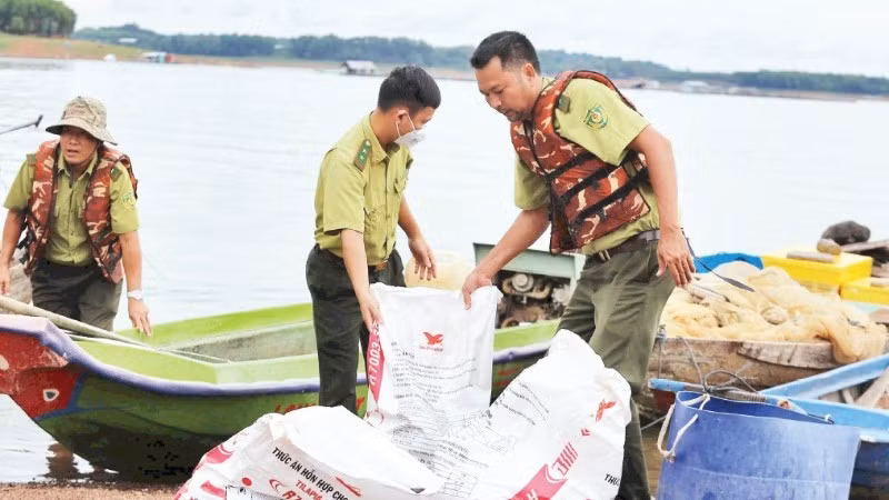 Lực lượng chức năng phường Trị An và Khu Bảo tồn thiên nhiên văn hóa Đồng Nai hỗ trợ người dân thu gom số cá chết đưa vào bờ. (Ảnh: THIÊN VƯƠNG)