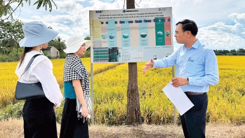Đại diện Trung tâm Khuyến nông tỉnh Đắk Lắk trao đổi về các chương trình canh tác lúa giảm phát thải tại Trại lúa giống Hòa Xuân. (Ảnh MINH ANH)