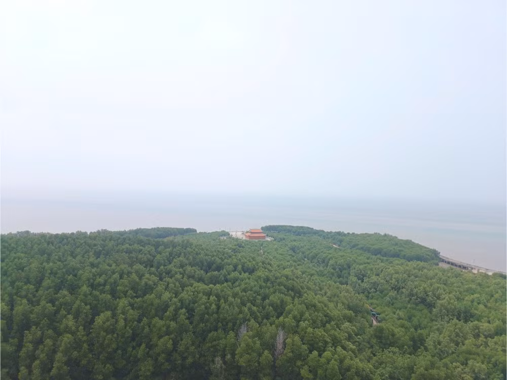Màu xanh trên đất mũi Cà Mau.