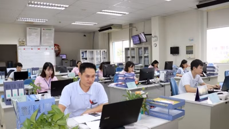 Không thành lập phòng trong vụ trực thuộc bộ, ngành.