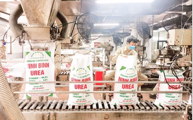 Sản xuất phân đạm Urê tại Công ty Trách nhiệm hữu hạn một thành viên Đạm Ninh Bình (Tập đoàn Hóa chất Việt Nam). 