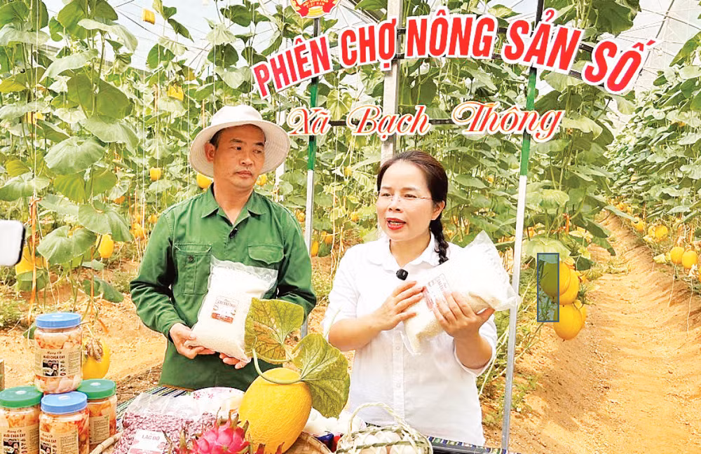 Bí thư Đảng ủy, Chủ tịch HĐND xã Bạch Thông (Thái Nguyên) Ma Thị Mận cùng nông dân livestream giới thiệu sản phẩm.