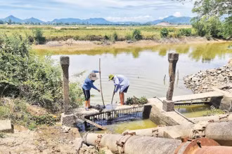 Vớt rác khơi thông dòng chảy bảo đảm nguồn nước cho sản xuất vụ hè thu năm 2025 ở Nghệ An.