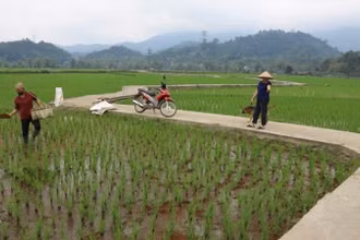 Một tuyến đường nội đồng ở xã Lục Bình, huyện Bạch Thông được cứng hoá nhờ người dân hiến đất, góp công. (Ảnh: HƯƠNG DỊU)