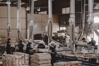 Sản xuất gỗ ở Công ty xuất nhập khẩu Thiên Lộc.