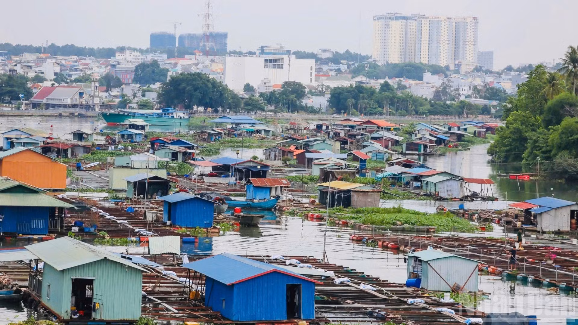 Hàng trăm hộ nuôi cá bè trên sông Đồng Nai ngay trung tâm thành phố đang gây ra nhiều hệ lụy về môi trường, ảnh hưởng đến mỹ quan đô thị.