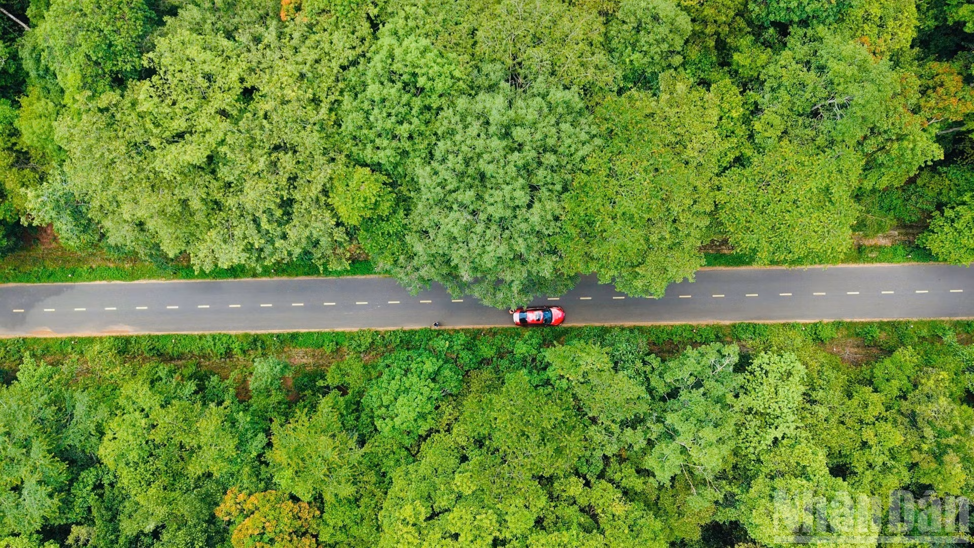 Đường 13km trên cao xuyên rừng Mã Đà thuộc Dự án đầu tư xây dựng tuyến đường từ cầu Mã Đà đến đường Vành đai 4-Thành phố Hồ Chí Minh.